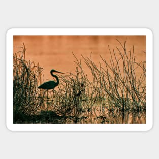 Heron at dusk Sticker